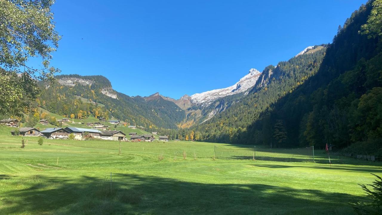 Chalet Birdie Le Grand-Bornand Exterior photo