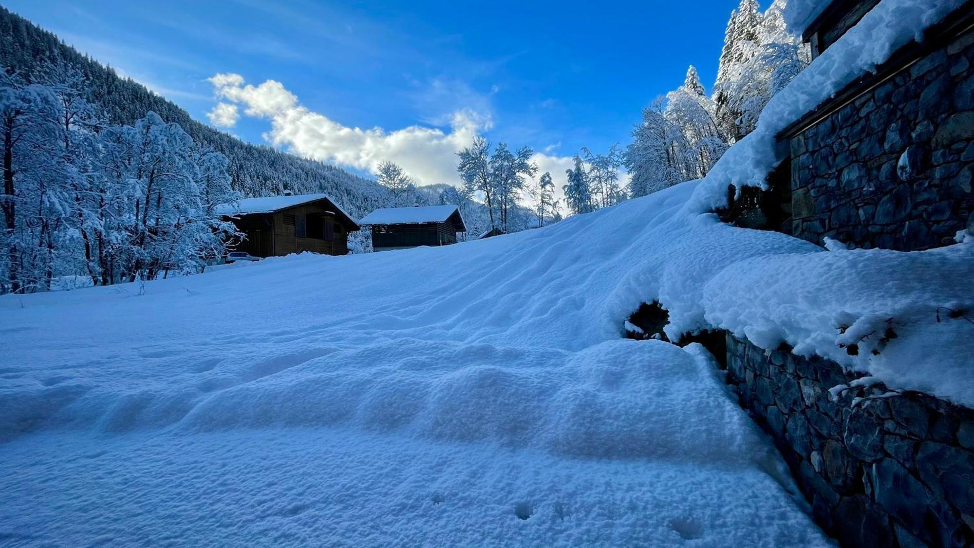 Chalet Birdie Le Grand-Bornand Exterior photo